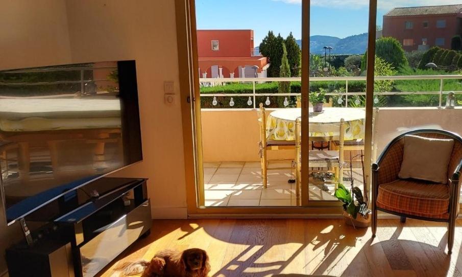 Chambre Lit 2 Personnes Dans Appartement Du Logeur Mandelieu Esterno foto